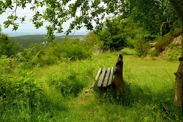正被逐渐战 正被逐渐战