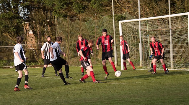 纷揭开新篇 纷揭开新篇